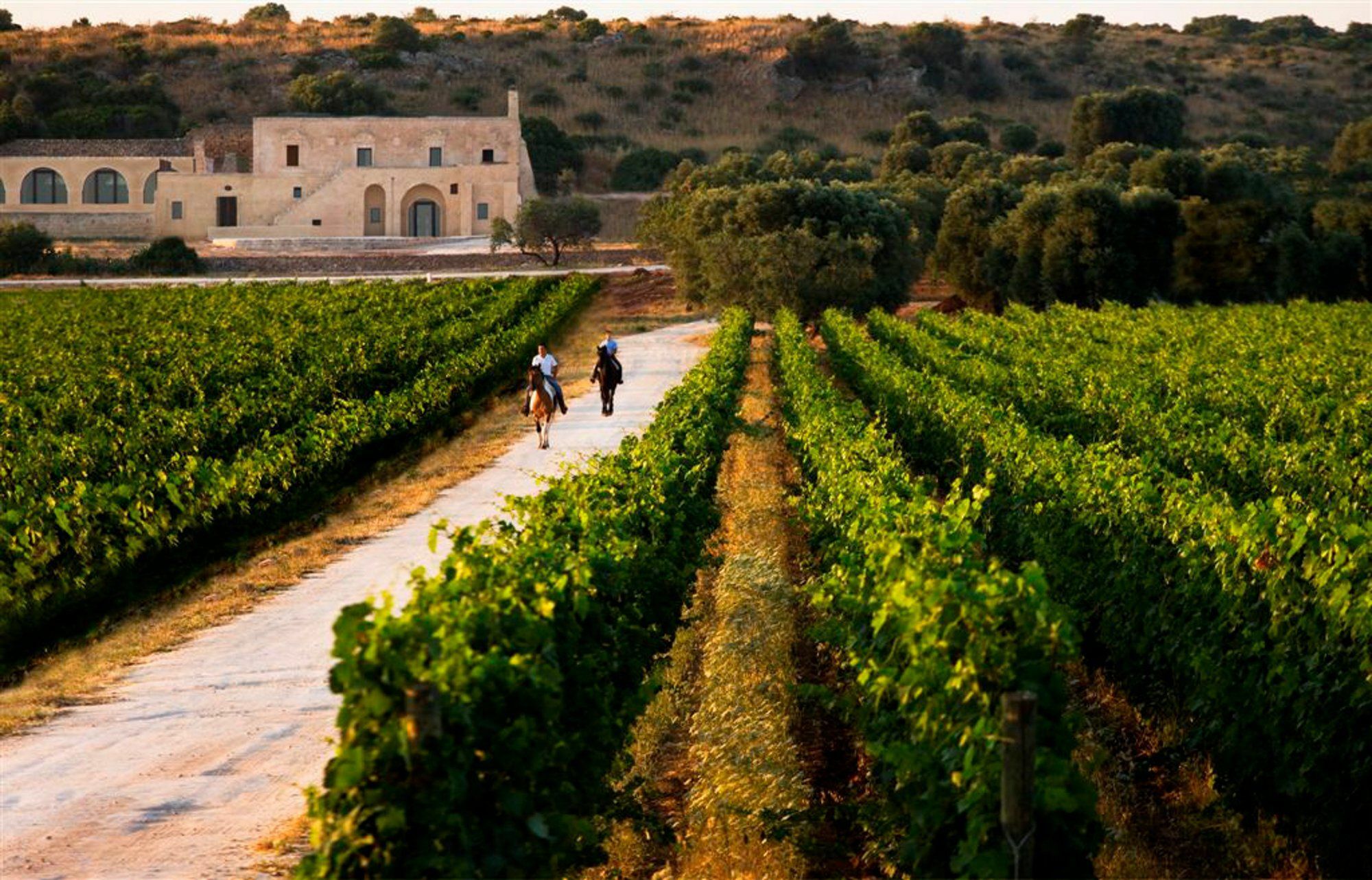 Masseria Le Fabriche Maruggio Exterior foto